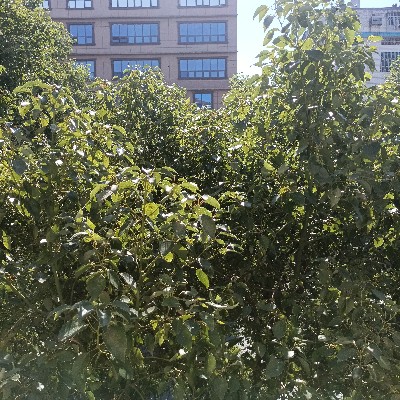 BGUSER-PHTZLZ8F