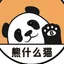 熊什么猫