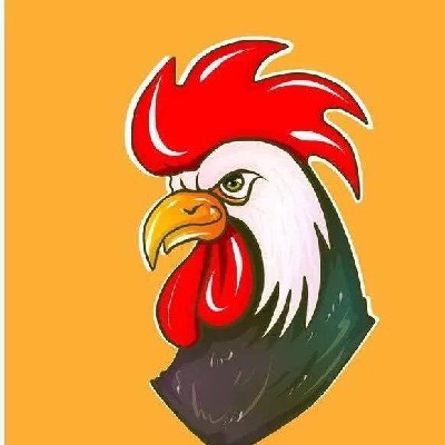 短线高手鸡哥