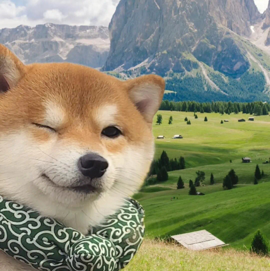 落坨翔子💩