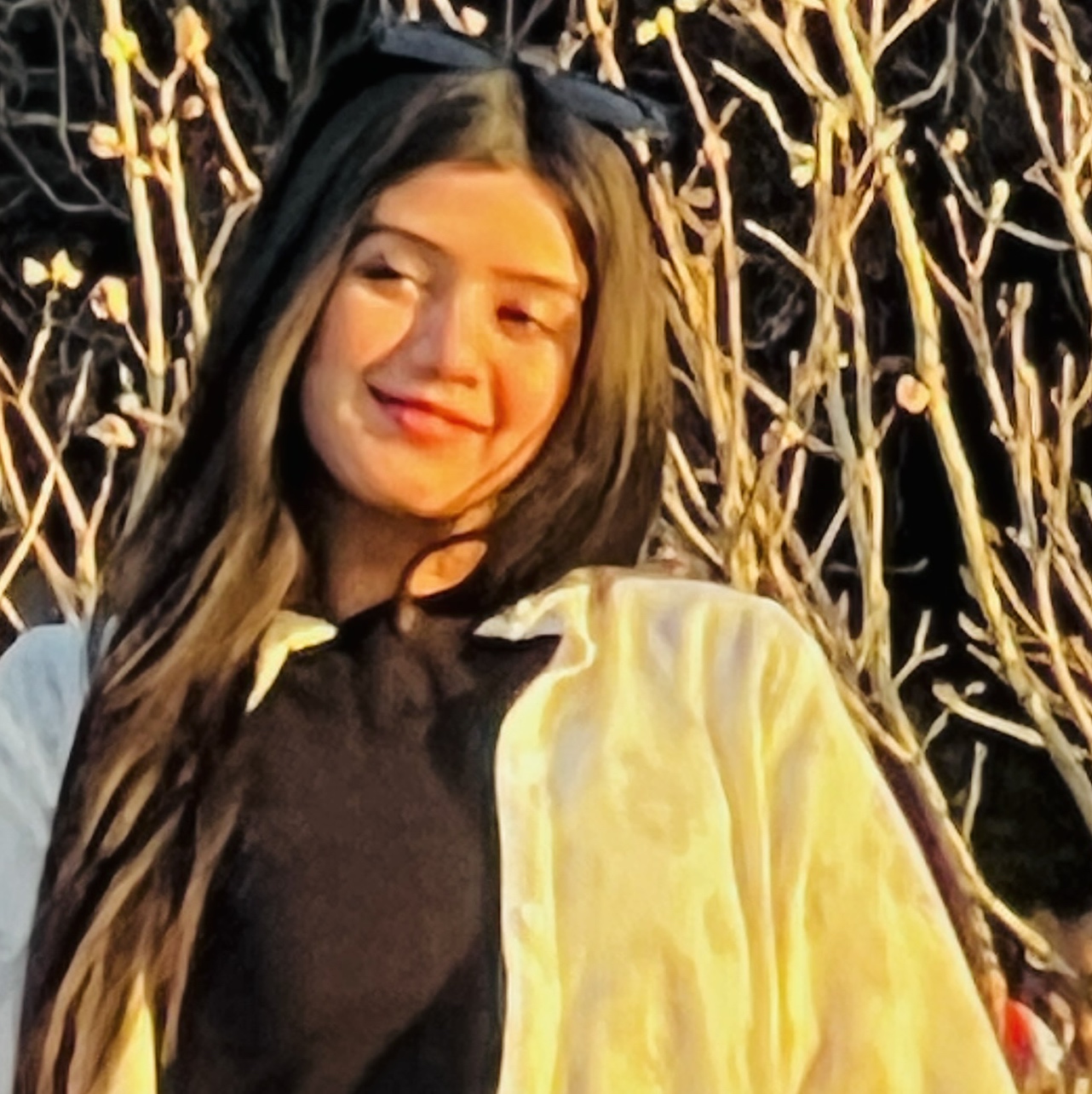 gulSAnga