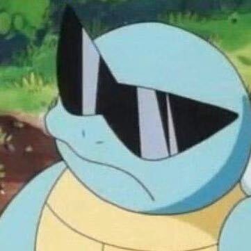 西瓜的加密日记