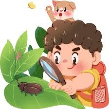 狗庄观察员