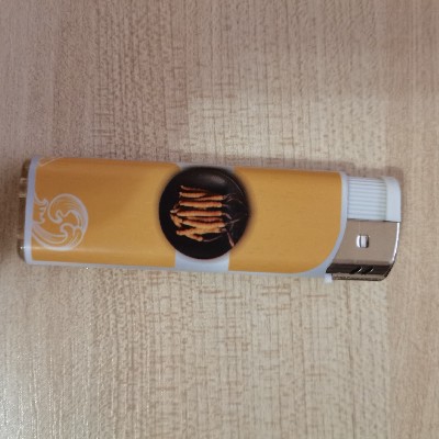 奔跑的大鸟