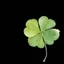 四叶草🍀
