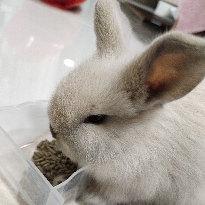 成为安迪