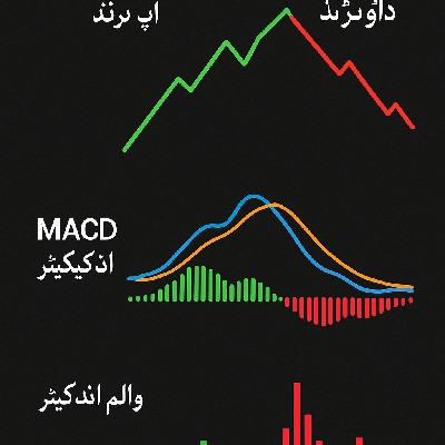 CryptoHub77