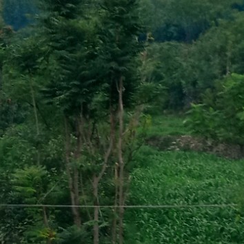 KhanKhan12345678