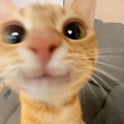 MEAWW