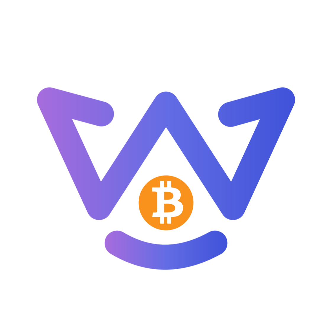 winer_合约