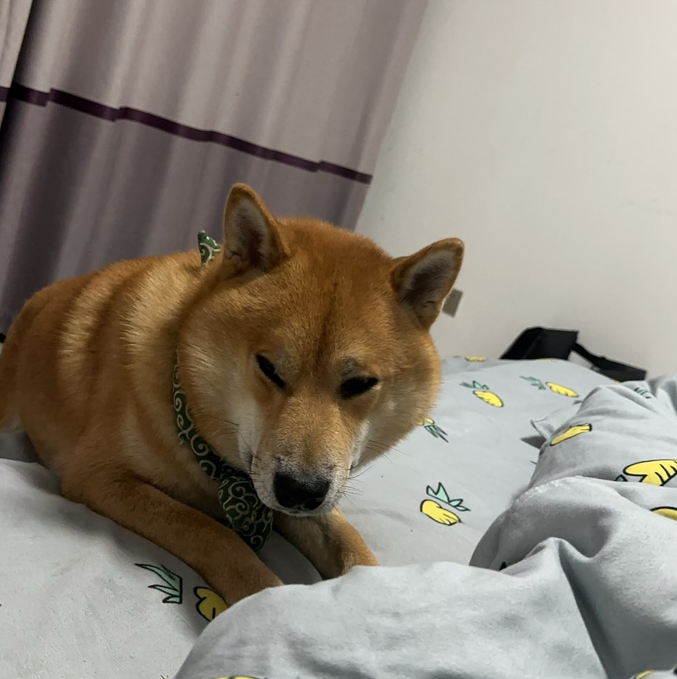 吴大皓