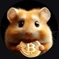 Bit鼠宝