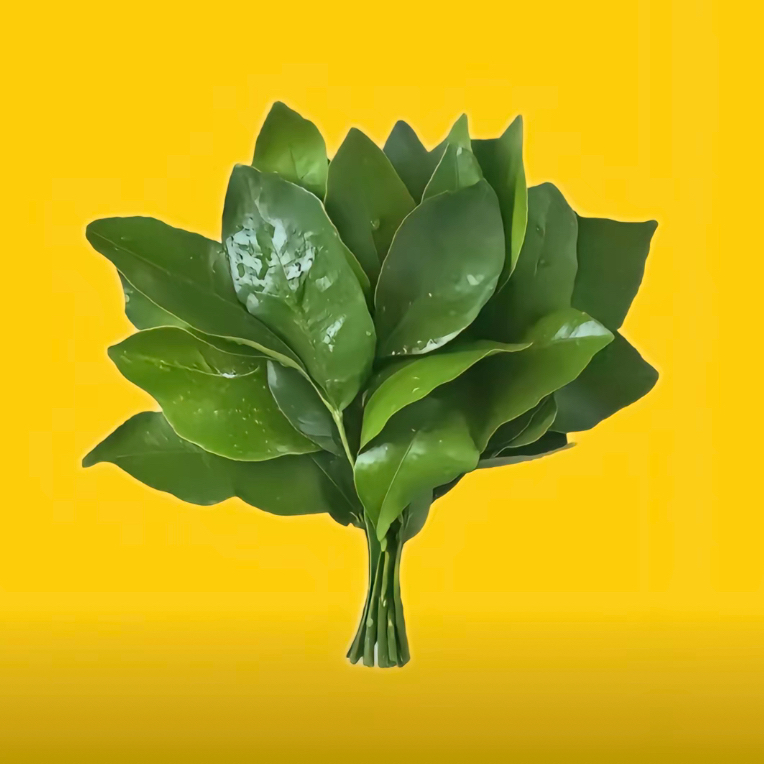 轻舟已过万重山🚢