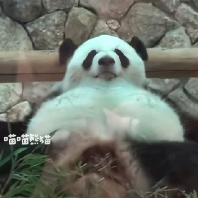 低调发育，别浪