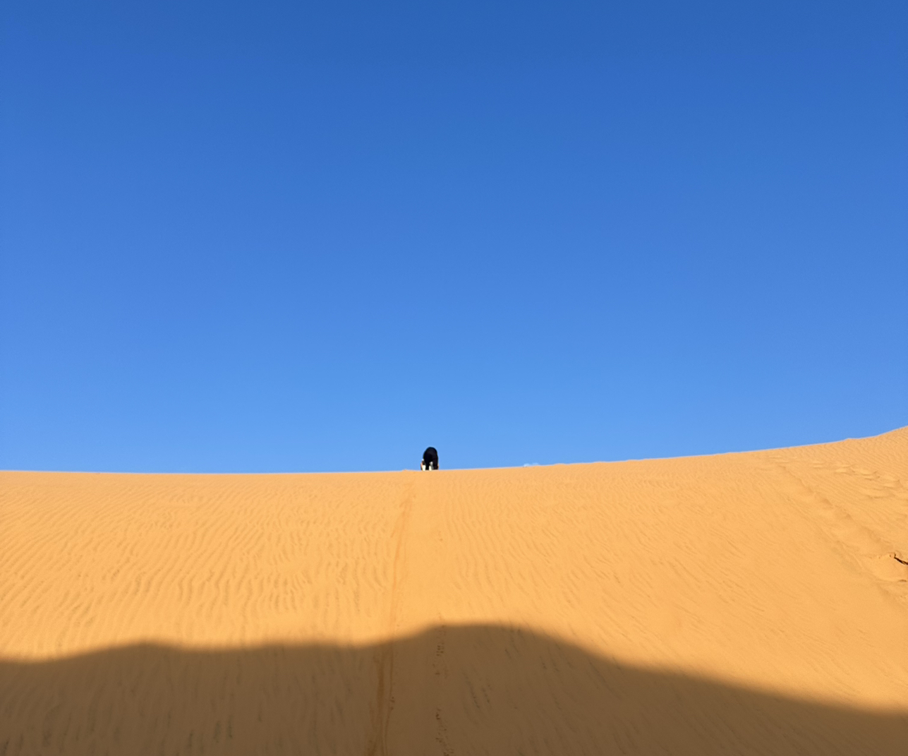 刘波