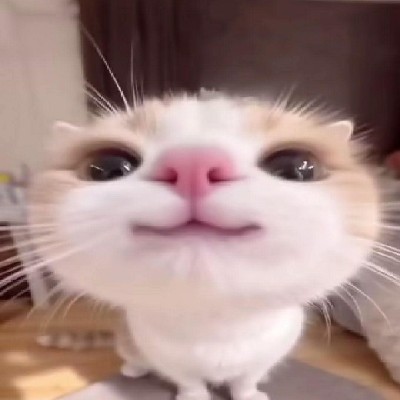 Samiruddinofcl