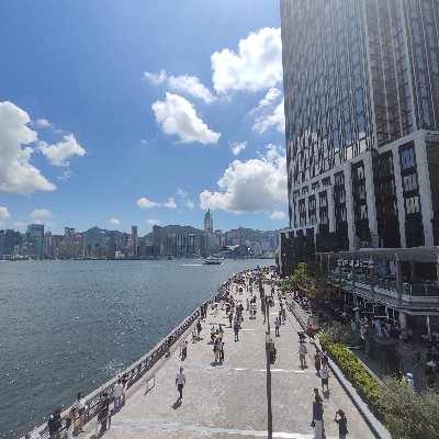 韭菜是不可能赚钱的