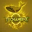 tech-Ameenx