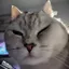 罗忆